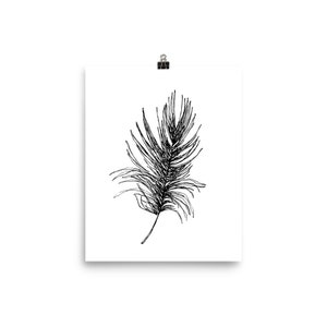 Black and White Art Print Black Feather Poster