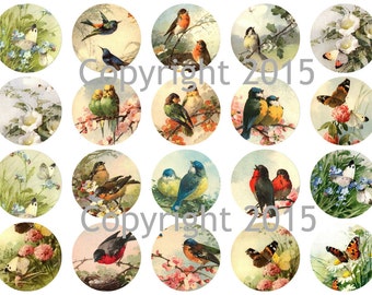 Printed Vintage Catherine Klein Birds and Butterflies Images Circles Collage Sheet   8.5 x 11 for Decoupage, Altered Art, Scrapbooking etc.