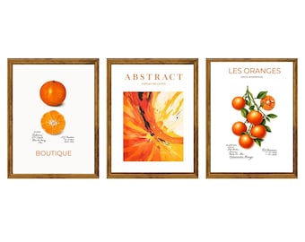 Printed: Set of 3 Modern Orange Wall Art Print Set – Abstract Citrus & French Botanical Poster Trio | Minimalist Kitchen Decor | Unframed