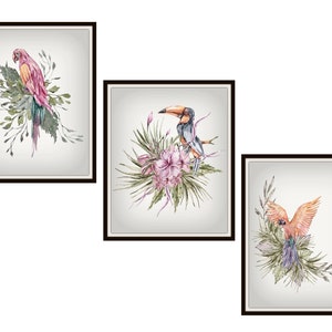 Set of 3 Watercolor Parrots Art Prints on Grey Backgrounds, Giclee Art Print Reproductions Unframed, 5 x 7&quot;, 8 x 10&quot; or 11 x 14&quot;