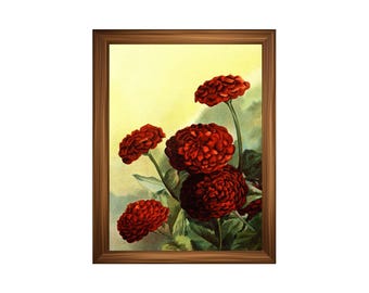 Printed Vintage Red Ranunculus Botanical Art Print – Romantic Floral Wall Decor | Antique Garden Flower Illustration