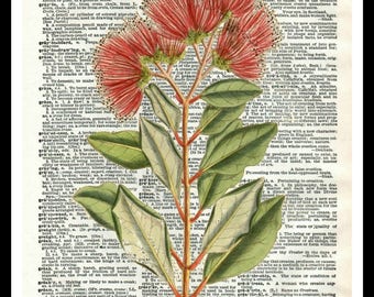 複製辞書ページに印刷されたヴィンテージ植物の花のアートプリントポスター 8 x 10インチまたは11 x 14インチ フレームなし