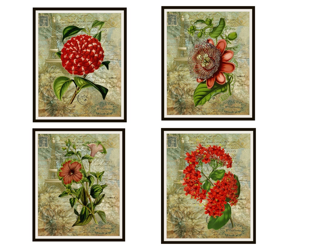 Set of 4 Vintage Botanical Art Print Poster Reproductions "red Flowers ...