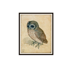 Albrecht Dürer 'Small Owl‘  Watercolor Reproduction Giclee Art Prints Unframed 5 x 7",  8 x 10" or 11 x 14"