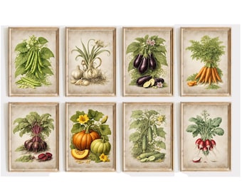 Printed:  Set of 8 Vintage Vegetable Botanical Art Prints, Giclee Kitchen Wall Art, Farmhouse Vegetable Print Set | Unframed