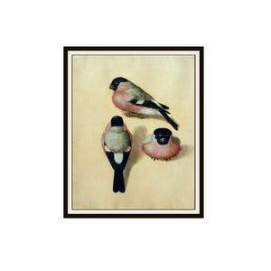 Albrecht Dürer &#39;Three Studies of a Tree Bullfinch‘ 1543 Watercolor Reproduction Giclee Art Prints Unframed 5 x 7&quot;,  8 x 10&quot; or 11 x 14&quot;