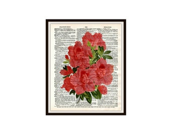 複製辞書ページに印刷されたヴィンテージ植物の花のアートプリントポスター 8 x 10 または 11 x 14 インチ フレームなし、植物の花