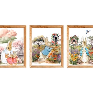 Puede incluir: Tres pinturas de acuarela enmarcadas con Peter Rabbit. La primera pintura muestra a Peter Rabbit con otros dos conejos en un entorno de jardín. La segunda pintura muestra a Peter Rabbit saltando por un jardín con flores. La tercera pintura muestra a Peter Rabbit de pie en un camino en un jardín con un buzón.