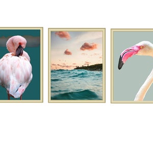 Juego de 3 flamencos, Pink Sky Photo Art Print Posters 8 x 10", 11 x 14", 11 x 17" o 12 x 18" sin enmarcar, carteles de arte fotográfico