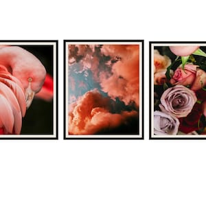 Juego de 3 flamingo, nubes rosas y rosas Carteles de impresión de arte fotográfico de 8 x 10", 11 x 14", 11 x 17" o 12 x 18" sin enmarcar, carteles de arte fotográfico