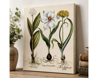 Vintage Botanical Print  | Besler Tulip Floral Wall Art | Antique  Lily Botanical Illustration |  Giclee Art print, Large Poster or Canvas