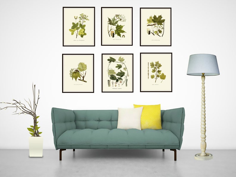 Set of 6 Vintage Botanical Art Print Poster Reproductions "foliage ...