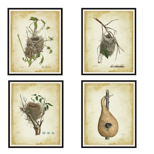 Set of 4 Vintage Art Prints Bird's Nests Posters,  Print Wall Decor,   Unframed Printed Art Image, Farm House Art, Rustic Art Print Posters