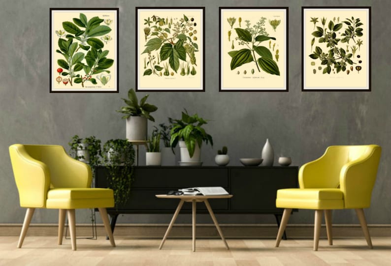 Set of 4 Vintage Botanical Herbal Art Print Poster Etsy