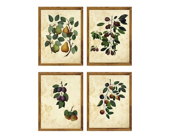 Set of 4  Vintage Botanical Art Prints #2 | Antique Plant Illustrations on Aged Paper |  Herbal Botanical Wall Art Collection  | Unframed