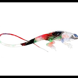 Watercolor Art Print Lzard Poster  8 x 10",  11 x 14", or 11 x 17" Unframed