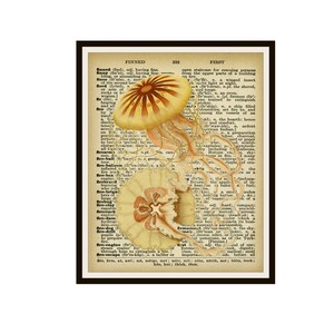 Printed Vintage Botanical Jellyfish on Reproduction Dictionary Page Art Print Poster  8 x 10 or 11 x 14&quot; Unframed Beach House Art