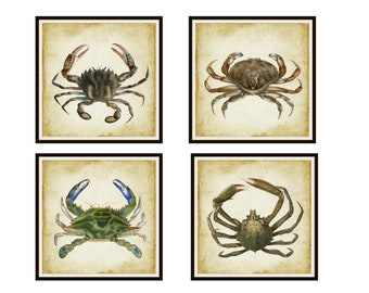 Set of 4 Vintage Botanical Art Print Poster Reproductions  "Crabs"  Unframed Marine Prints, Beach House Ocean Art Prints