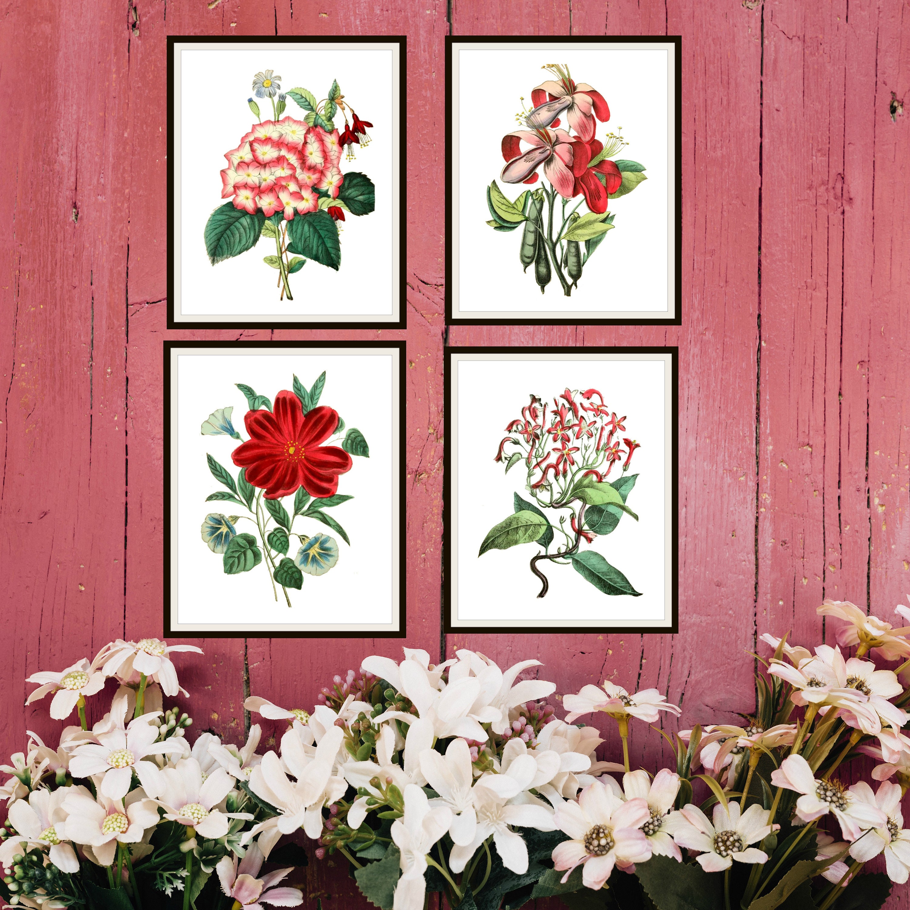 Set of 4 Vintage Botanical Art Print Poster Reproductions "red and ...