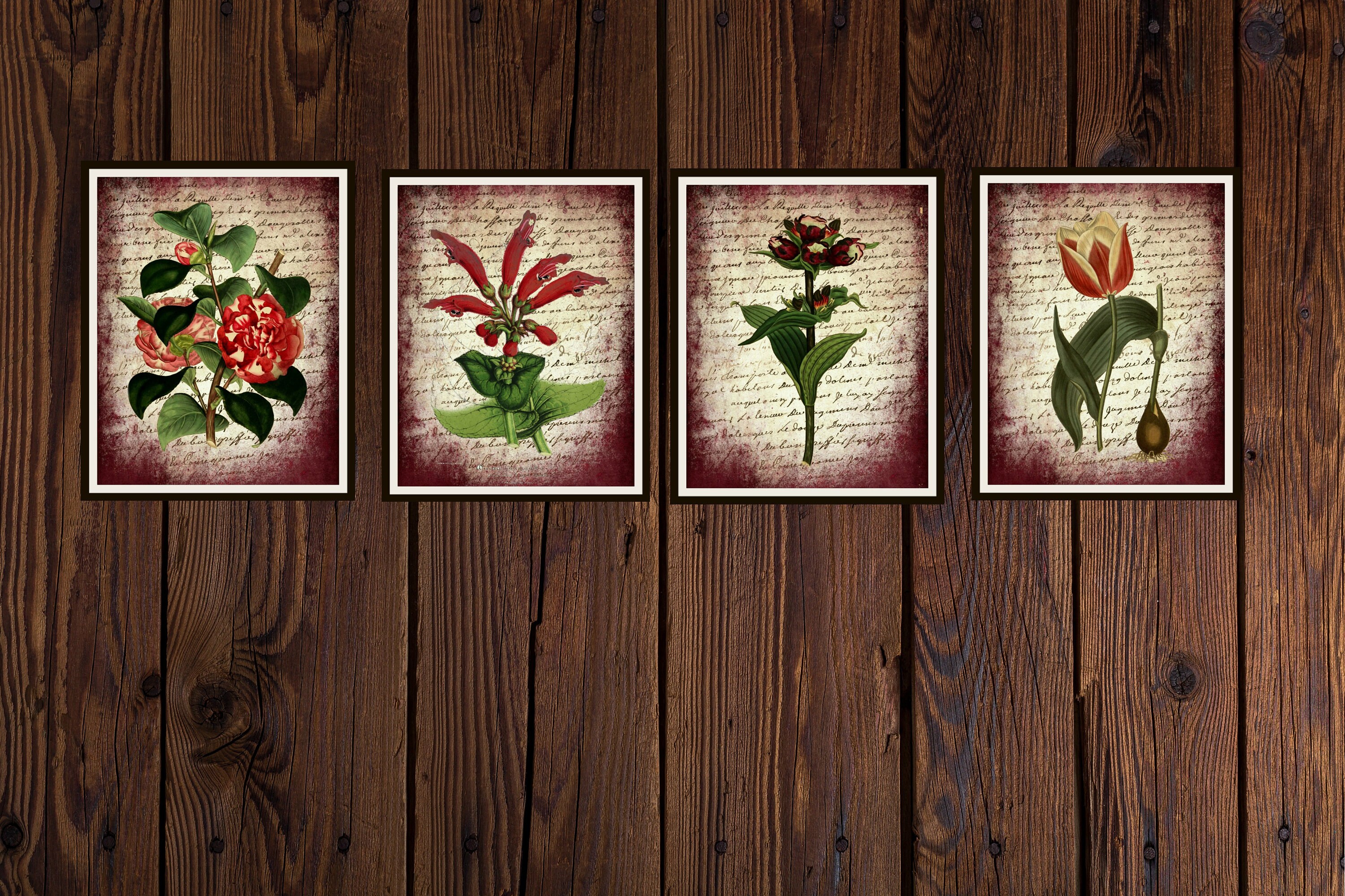 Set of 4 Vintage Botanical Art Print Poster Reproductions Red Flowers ...