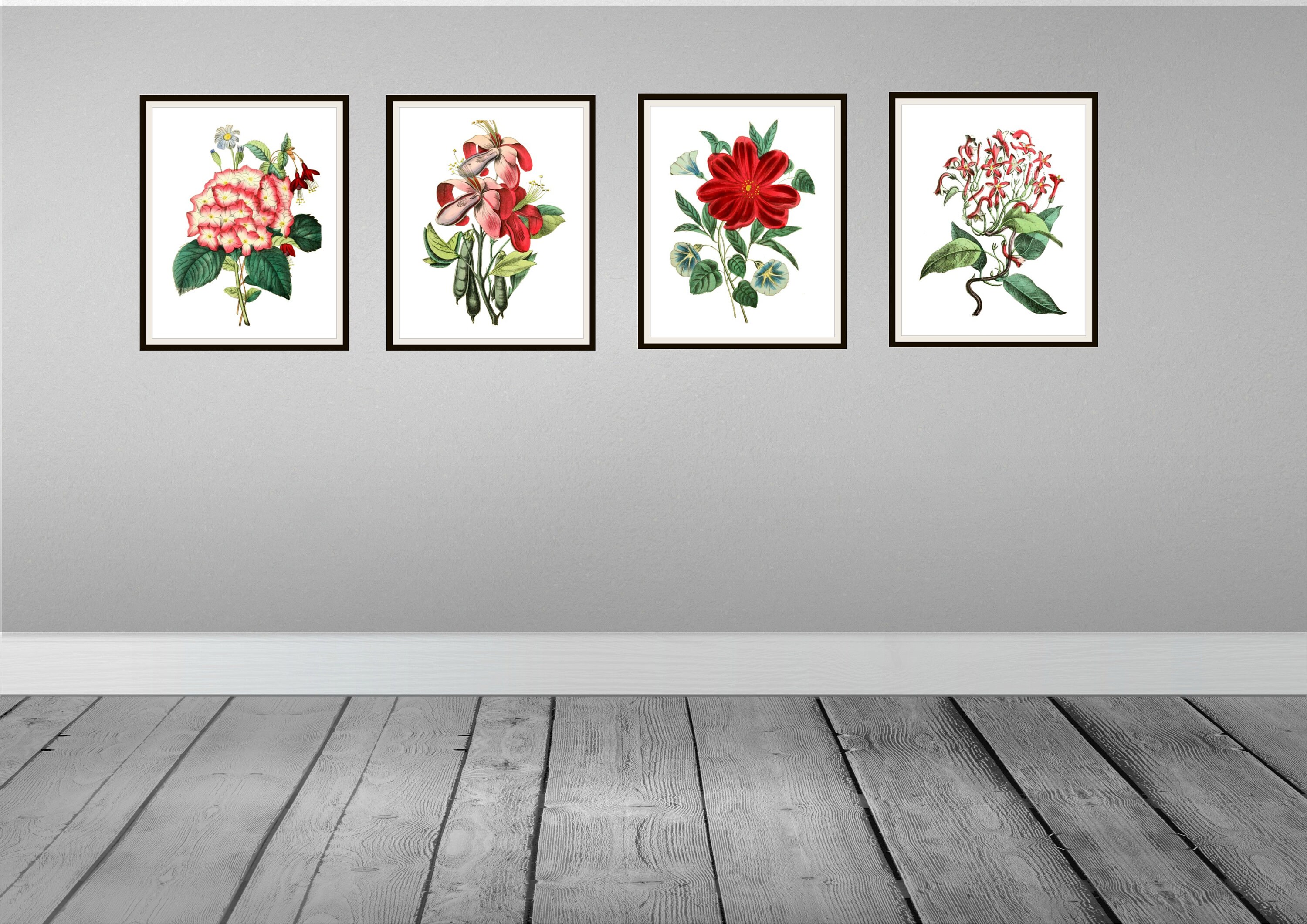 Set of 4 Vintage Botanical Art Print Poster Reproductions "red and ...
