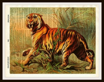 Vintage Tiger Natural History Art Print Poster on Dictionary Ephemera  8 x 10"  Unframed Printed Art Image, Vintage Wall Art
