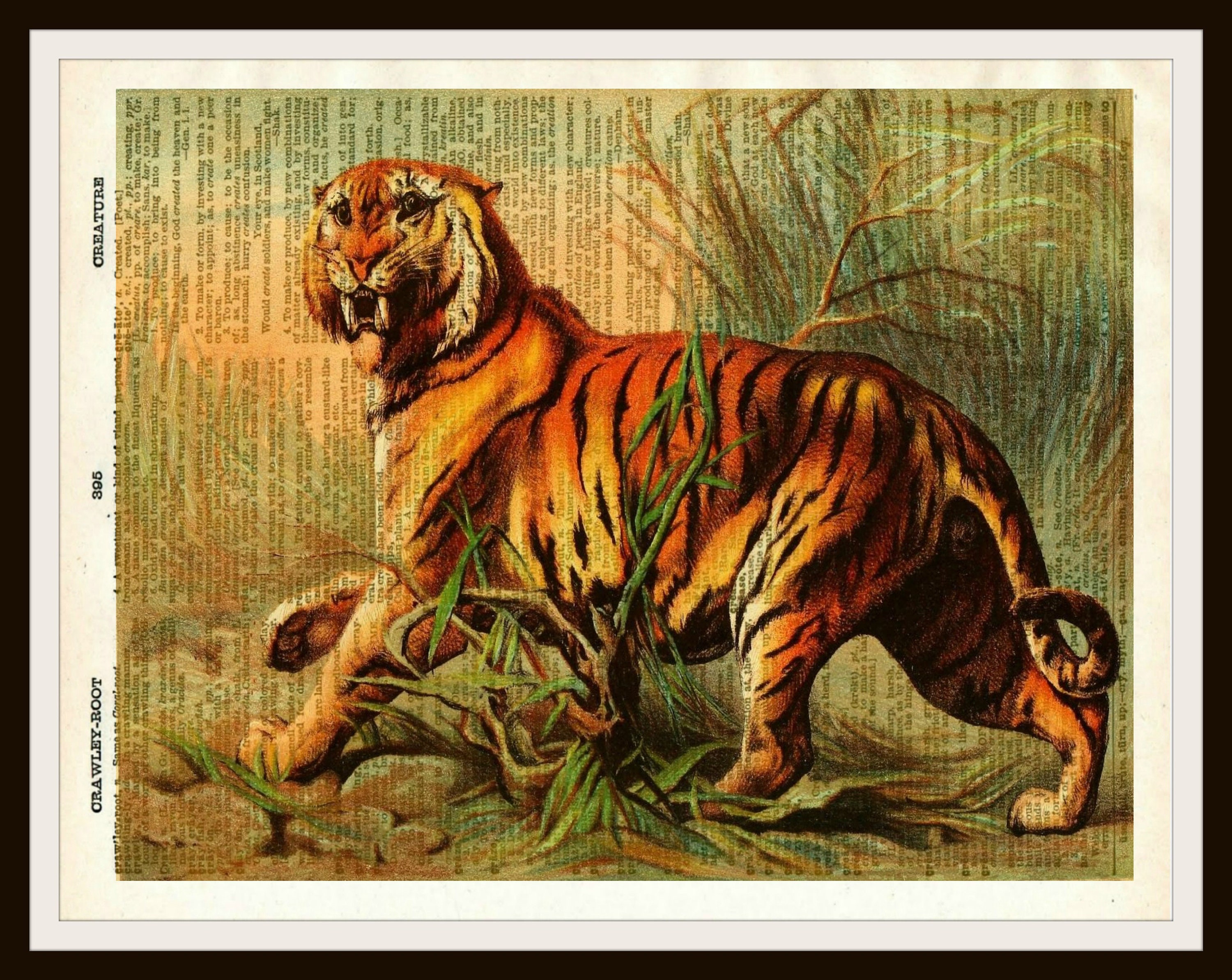 Vintage Tiger Natural History Art Print Poster on Dictionary - Etsy Singapore Vintage Tiger Natural History Art Print Poster on Dictionary - Etsy Singapore