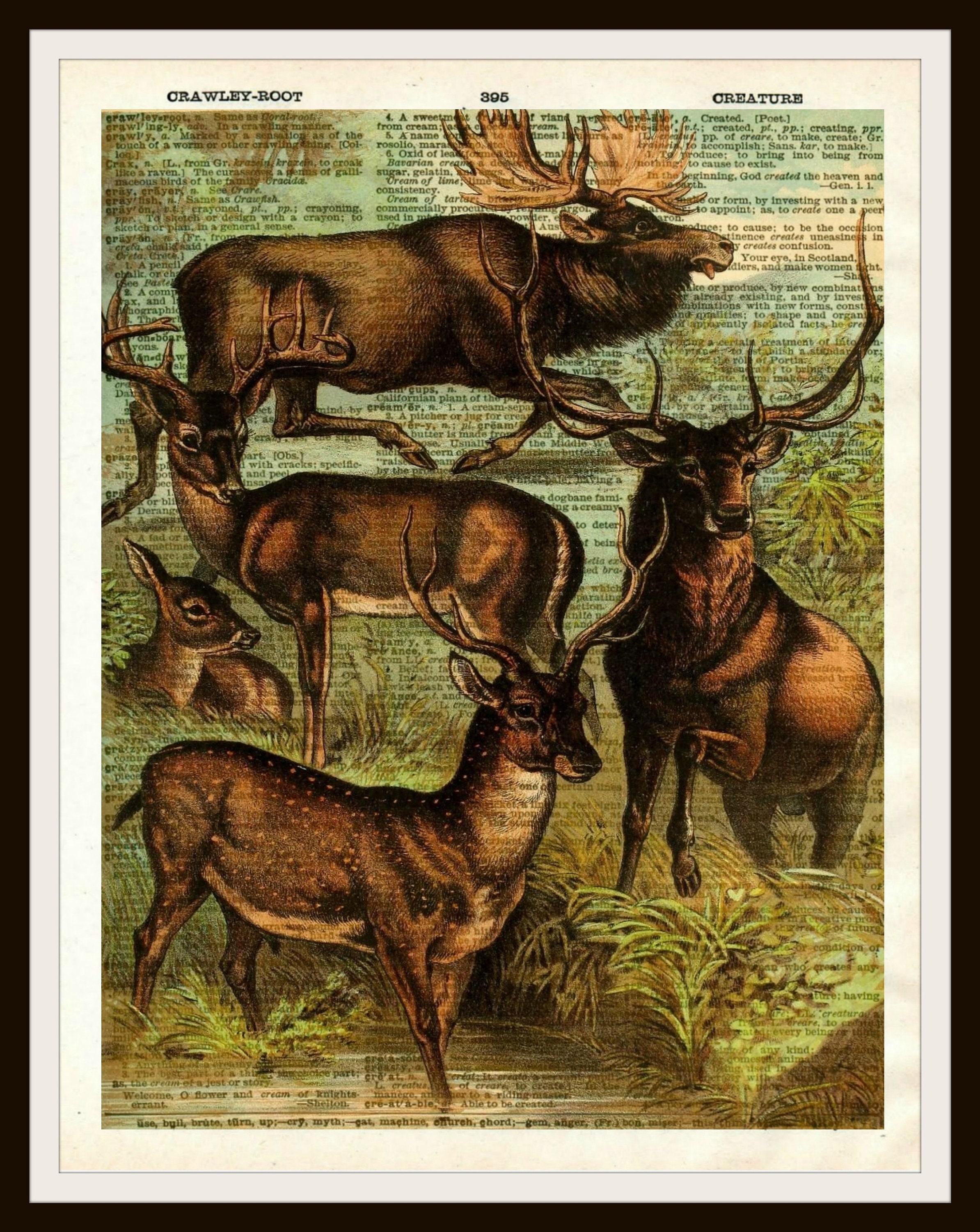 Vintage Moose Natural History Art Print Poster on Dictionary Ephemera 8 ...