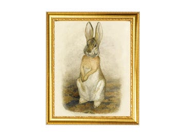 1902年ピーターラビット版画 – ビアトリクス・ポターの子供部屋用