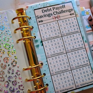 Op de afbeelding: Een roze en blauwe printbare plannerpagina met een bloemige achtergrond en de tekst "Debt Payoff Savings Challenge". De pagina is verdeeld in acht secties, elk met een rooster van nummers en de tekst "$250 Payment".