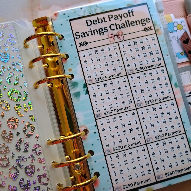 Op de afbeelding: Een roze en blauwe printbare plannerpagina met een bloemige achtergrond en de tekst "Debt Payoff Savings Challenge". De pagina is verdeeld in acht secties, elk met een rooster van nummers en de tekst "$250 Payment".