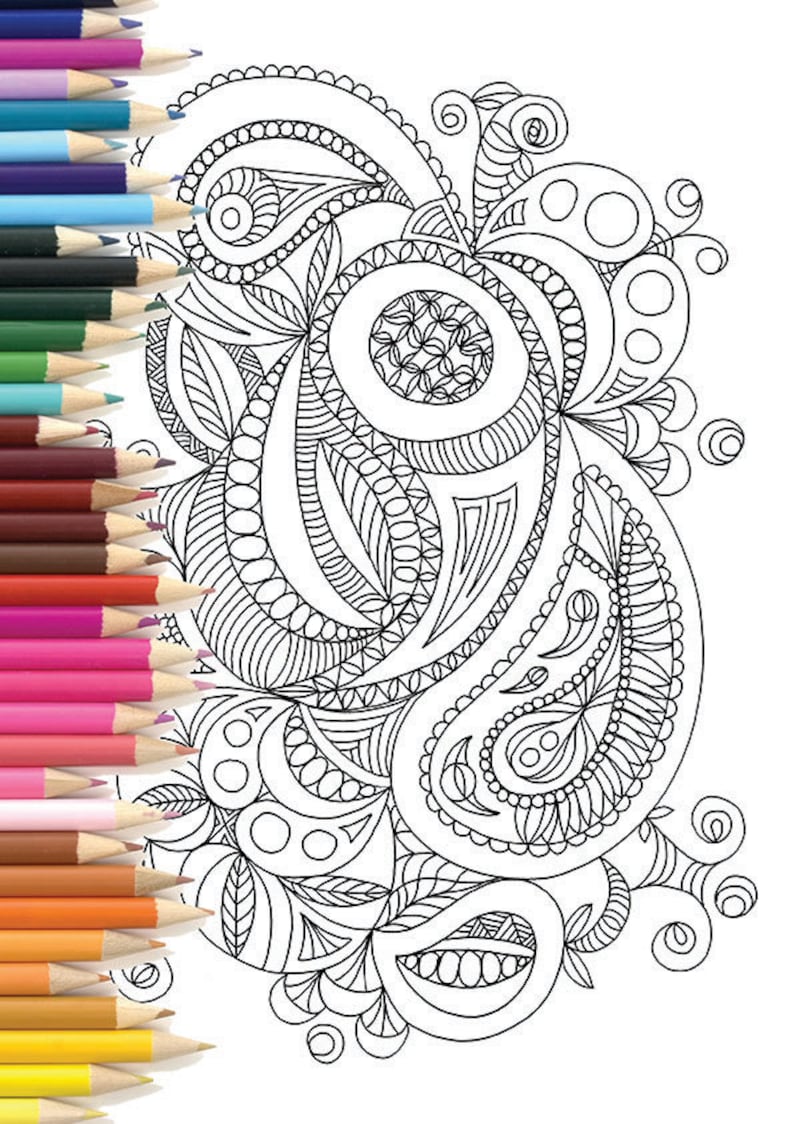 Adult Colouring Page Paisley Doodle | Etsy
