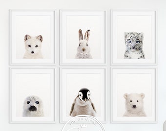 Nursery Decor, Snow Animal Prints, Baby Animals Set 6, Arctic Fox, Polar Bear, Leopard, Penguin, Rabbit Print, Seal, Nursery Printable Art