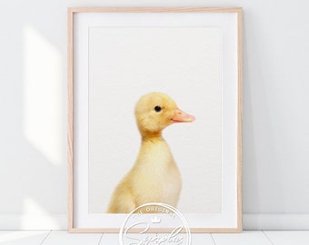 Impresión de patito, arte infantil, impresiones de animales bebés, animales de granja, foto de patito, decoración de guardería, arte de pared de guardería, animales bebés, arte imprimible