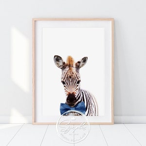 May include: A black and white zebra with a blue bow tie. The zebra is looking at the camera. The image is on a white background.