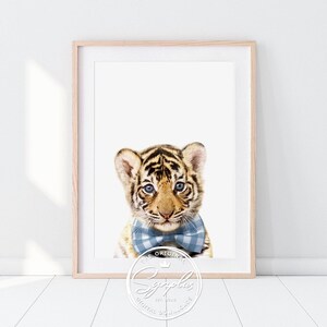 Könnte beinhalten: Ein süßes Tigerjunges mit einer blauen und weißen karierten Schleife. Das Tigerjunges schaut direkt in die Kamera. Das Bild hat einen weißen Hintergrund.