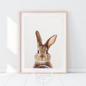 Rabbit Print, Woodland Nursery Decor, Rabbit Art, Bunny Rabbit, Nursery Prints, Modern Animal Art, Woodland Animals, Nursery Printable Art