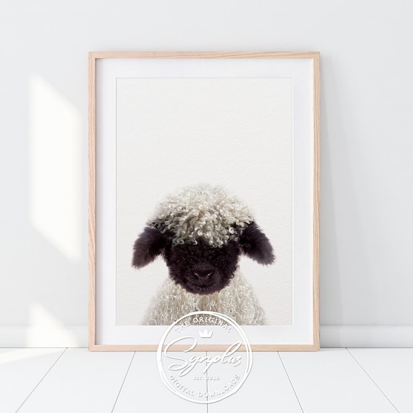 Lamb Print, Nursery Decor, Baby Lamb Print, Blacknose Lamb, Farm Animal Prints, Cute Baby Animals, Nursery Wall Art, Kids Room Printable Art