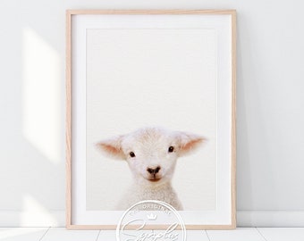 Impresión de cordero, decoración de guardería, impresión de cordero bebé, arte animal, foto de cordero, impresiones de animales de granja, animales bebés, arte de la pared de la guardería, habitación para niños imprimible