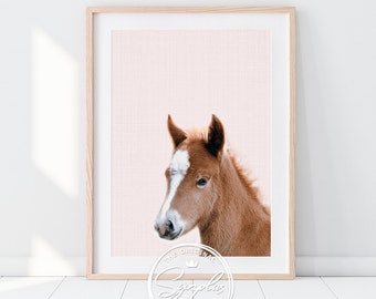 Baby Foal Print, Pink Nursery Wall Art, Farm Animal Prints, Nursery Decor, Baby Animals, Baby Girl Pink Decor, Gift, Printable Art, Synplus