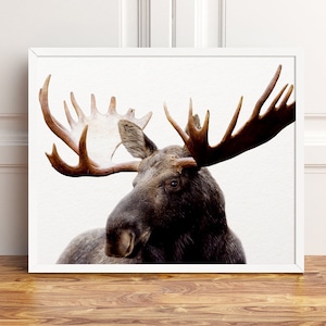 Moose Print, Moose Wall Art, Antlers Print, Woodland Animals, Modern Wall Art, Animal Prints, Nursery Decor, Home Decor, Kids Printable Art