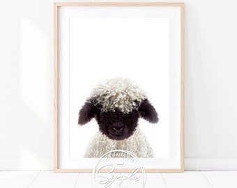 Lamb Print, Blacknose Valais, Nursery Wall Art Decor, Farm Animal Poster, Instant Digital Downloadable, Baby Animal Printable Art by Synplus