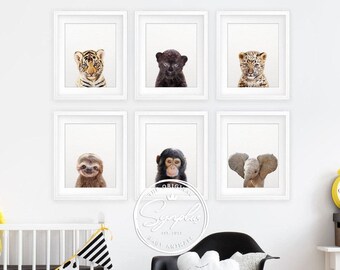 Nursery Decor, Jungle Animal Prints, Baby Animals Set 6, Tiger Print, Leopard, Panther, Sloth, Monkey, Nursery Wall Art, Kids Room Printable