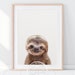 see more listings in the Baby Animals • COLOR section