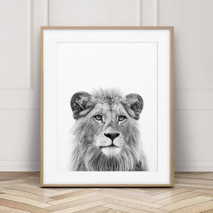 Lion Print, Safari Nursery Decor, Safari Animals, Lion Cub Print, Animal Prints, Black And White, Boys Room Wall Art, Kids Printable Art
