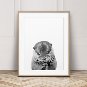 May include: Black and white photograph of a baby otter looking directly at the camera. The otter is sitting on a white background.