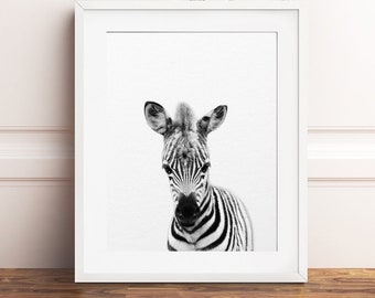 Zebra Print, Safari Nursery Decor, Safari Animal Art, Baby Zebra, Black & White Baby Animals, Nursery Animal Prints, Kids Room Printable Art