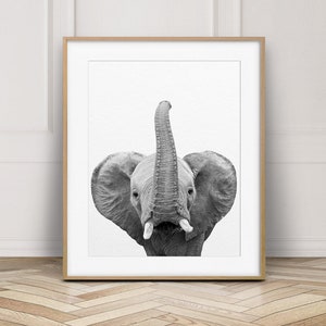 Elephant Print, Safari Animals, Elephant Trunk Up, Black And White Animal Prints, Safari Nursery Decor, Nursery Wall Art, Kids Printable Art