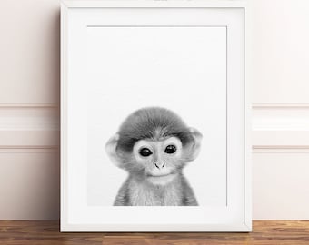 Stampa scimmia, arte della parete animale bambino, animale della giungla africana, arredamento della scuola materna, foto di scimmia bambino carino, animale in bianco e nero, camera dei bambini stampabile