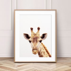 Lion Print Safari Animals Safari Nursery Decor Boys Room Etsy